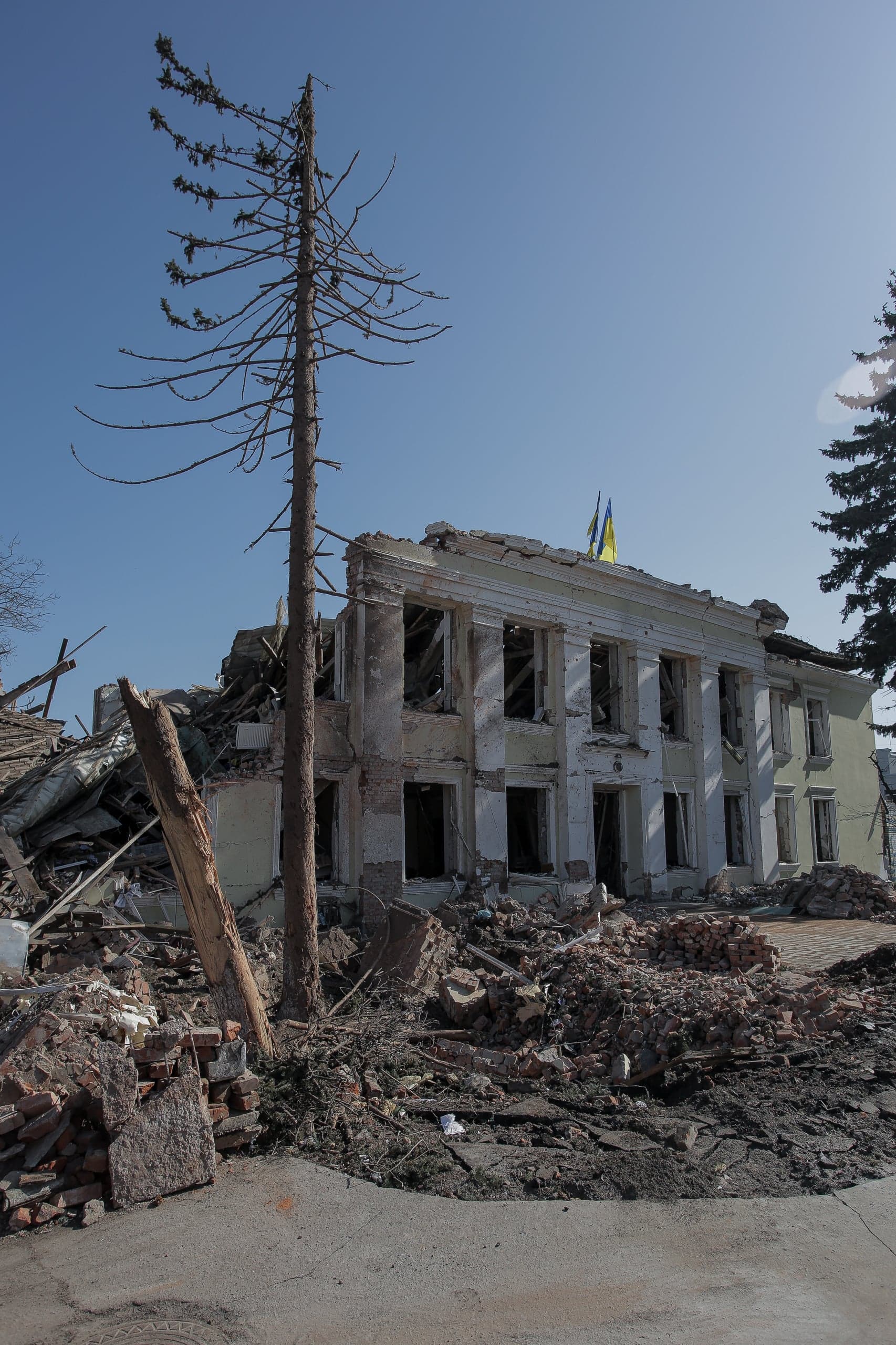 Разрушенное двухэтажное здание, окруженное грудами обломков. На крыше видны два украинских флага. В центре кадра — высокое сухое дерево.