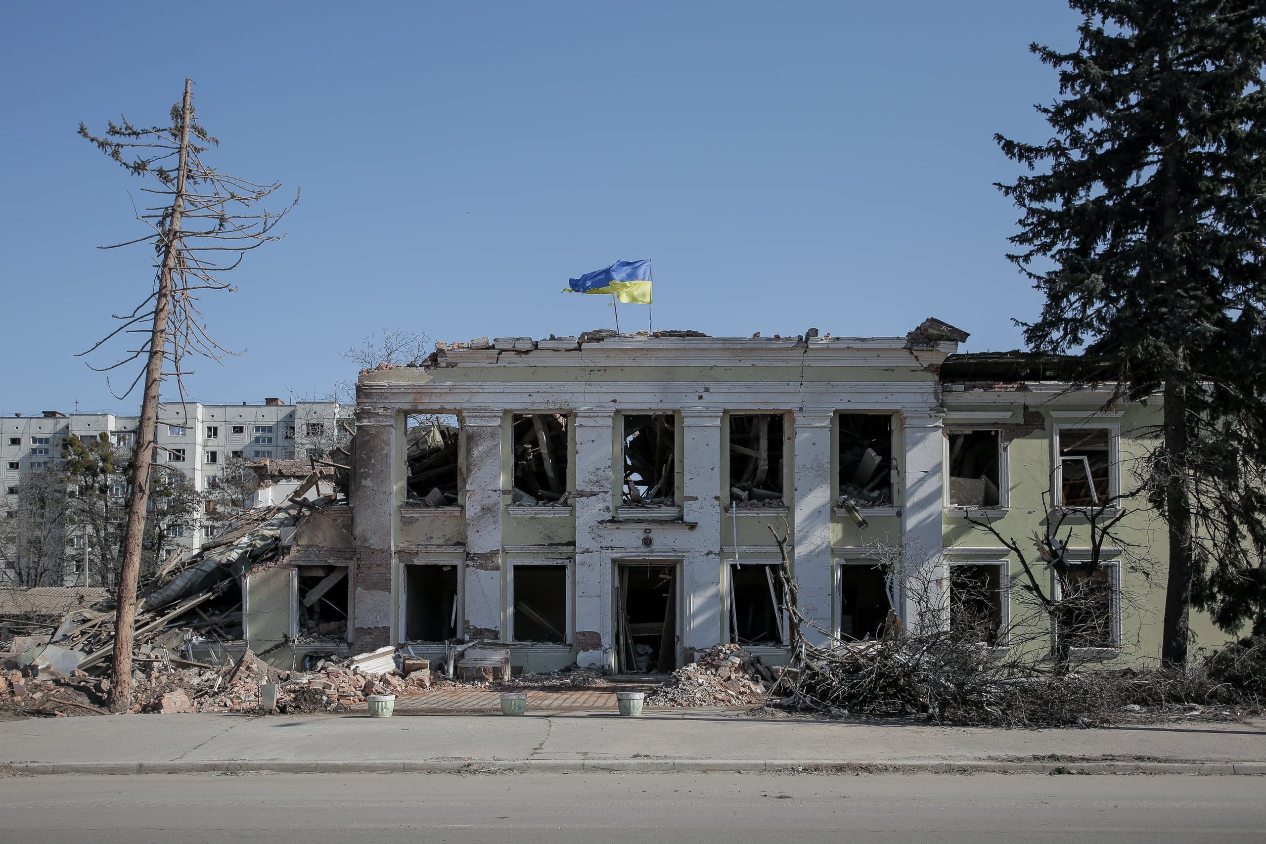 Разрушенное двухэтажное здание с пустыми оконными проемами и обвалившейся крышей, на которой развевается украинский флаг. Слева стоит сухое дерево, справа — сосна.
