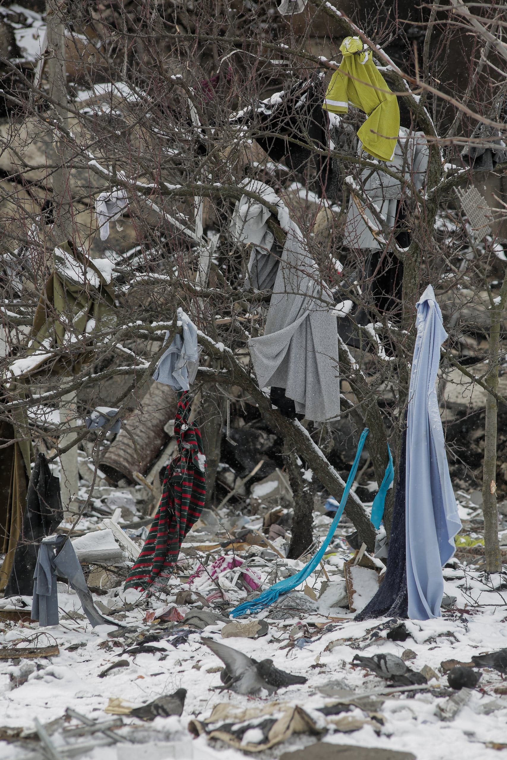 Обрывки одежды висят на голых ветвях дерева на фоне снега и руин.