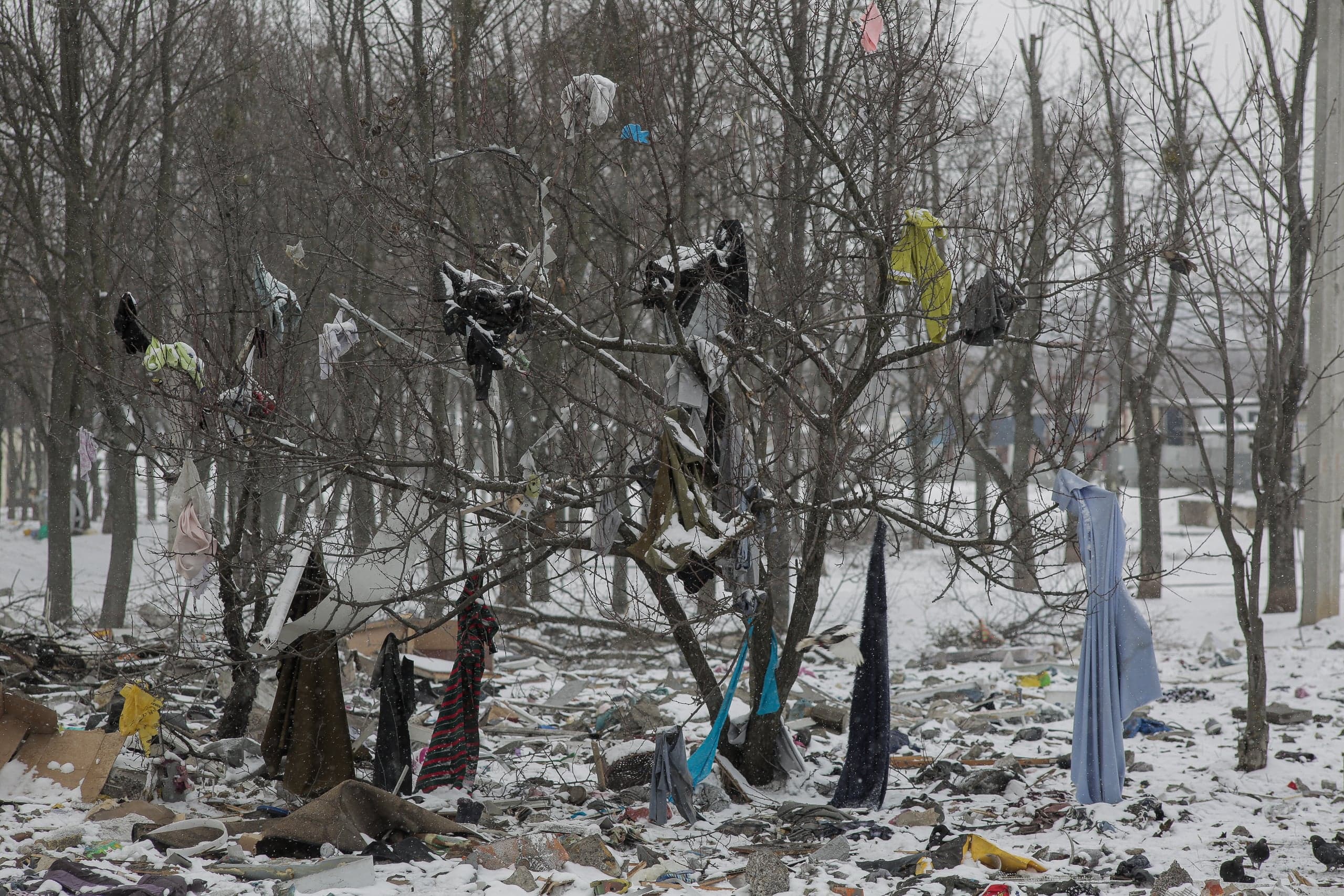 Зимний пейзаж с обломками и снегом. На голых ветвях деревьев висит множество разноцветных предметов одежды.
