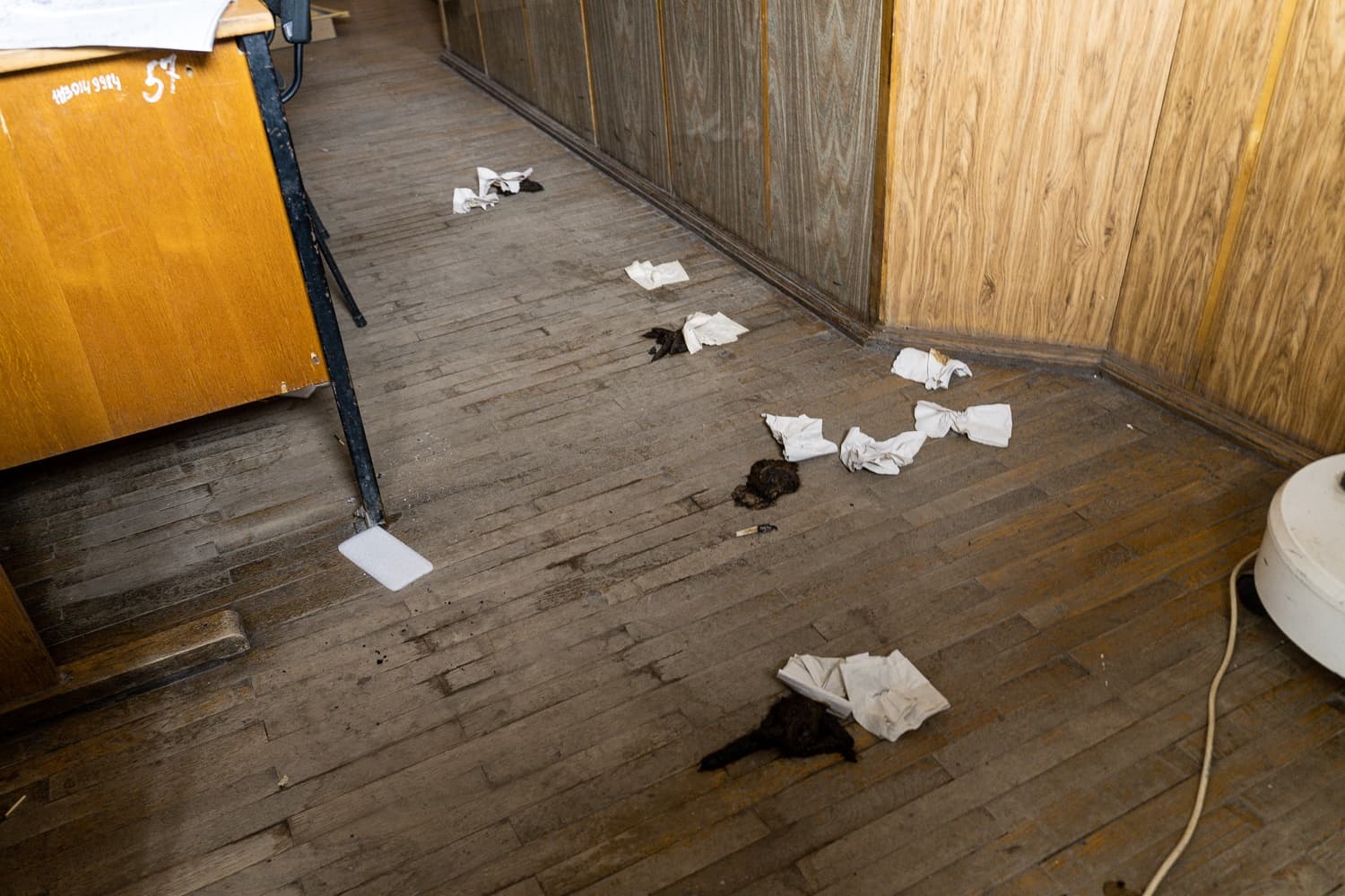 Грязный деревянный пол, усыпанный белыми салфетками и темными кучами мусора. Виден край стола с надписями "НБОВ 9989" и "57".