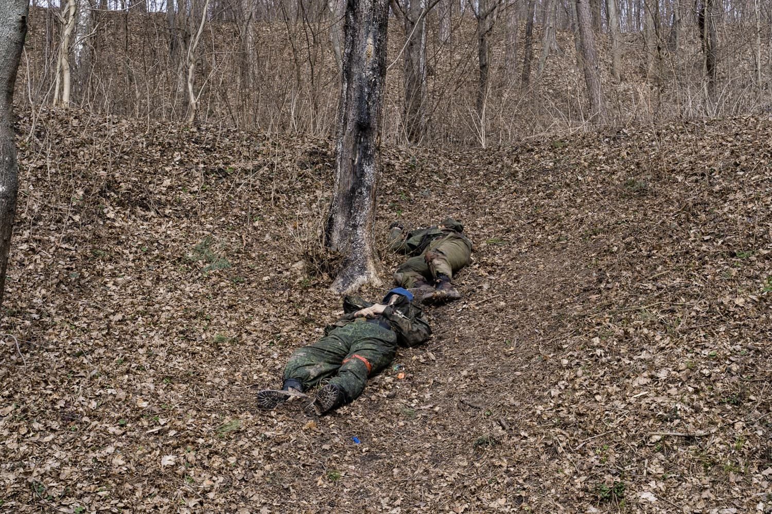 Тела двух солдат в камуфляже лежат на крутом, покрытом сухими листьями склоне возле дерева.