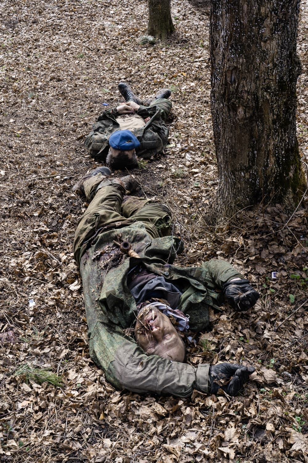Два погибших солдата в военной форме лежат среди опавших листьев в лесу. У одного из них синий берет.