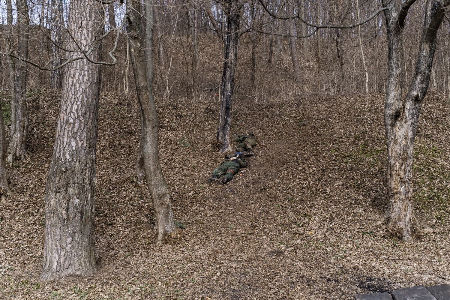 Два человека в камуфляже лежат на склоне холма, покрытого опавшей листвой, среди голых деревьев.