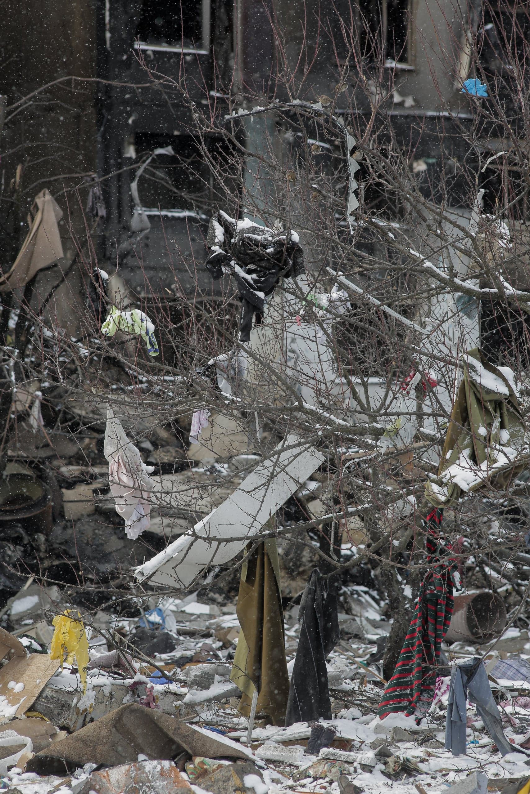 Руины заснеженного города. Голые ветки с обрывками одежды на фоне обгоревшего здания.