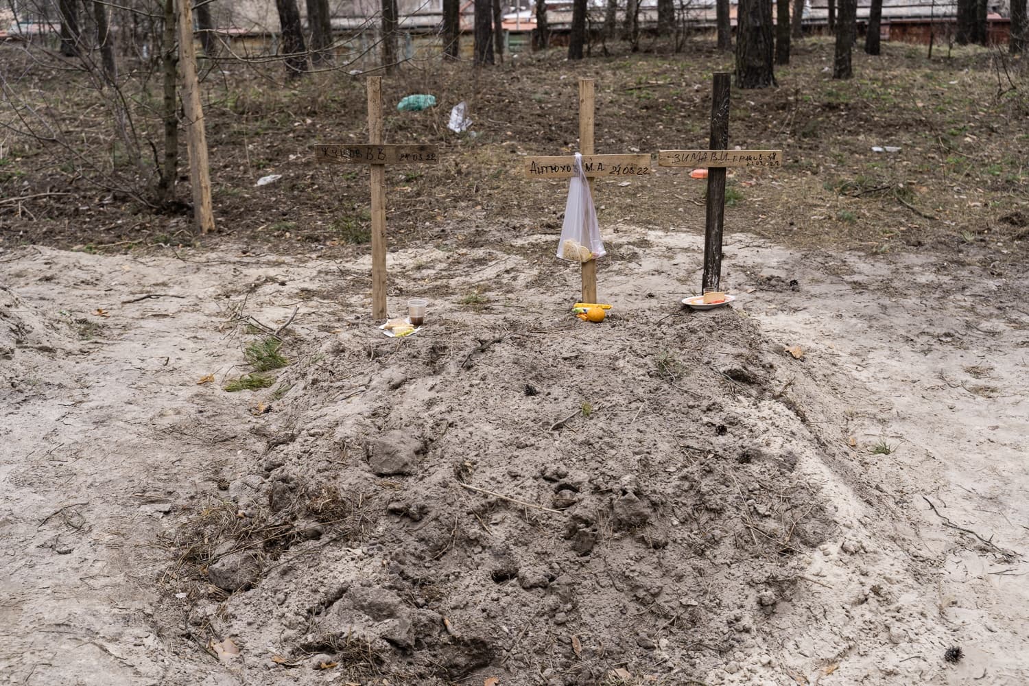 Свежая братская могила в лесу, отмеченная тремя самодельными деревянными крестами с надписями: "Кучеров В.З. 28.03.22", "Антонов М.А. 21.05.22" и "-Зима В.И. 28.03.22".