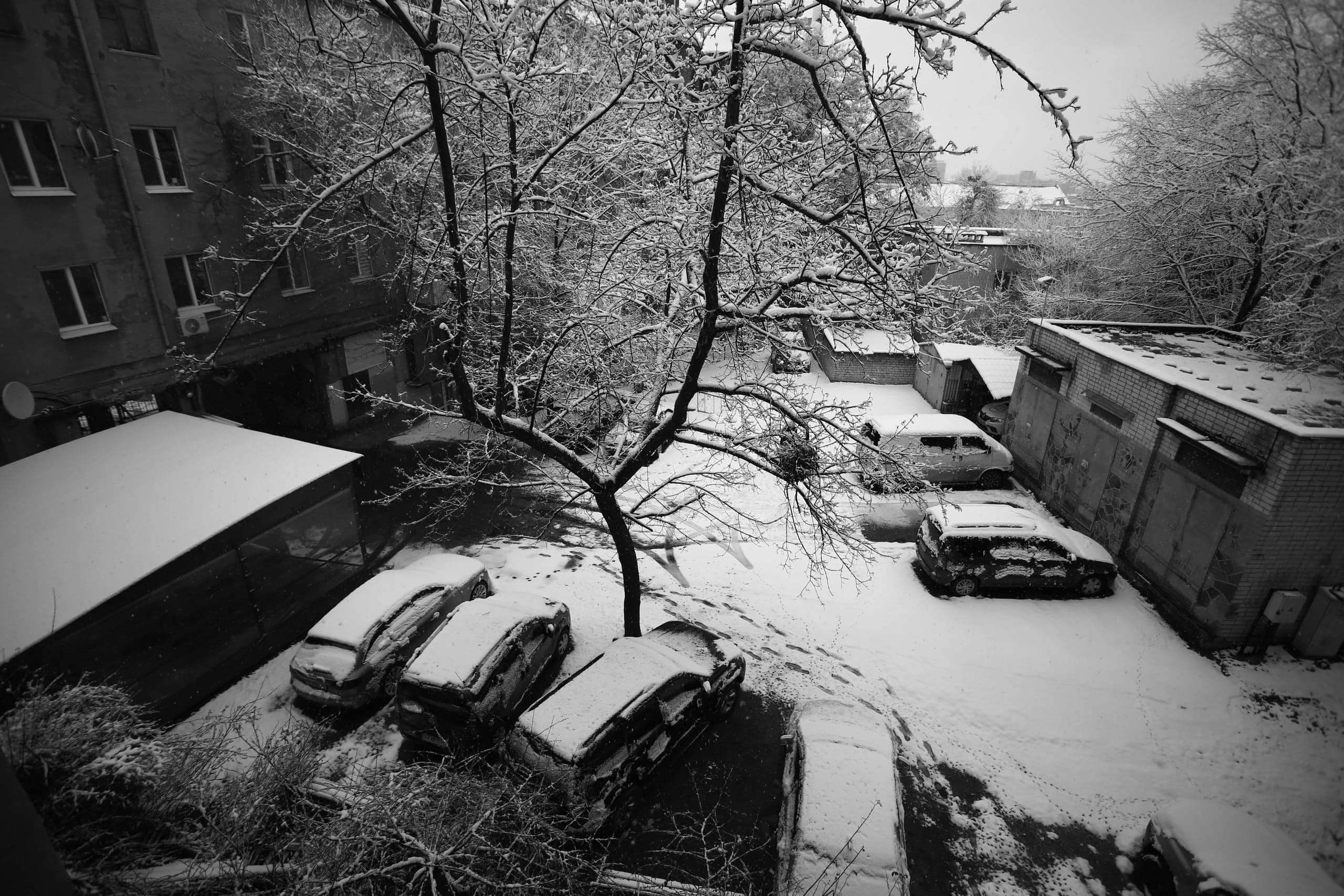 Черно-белый снимок заснеженного городского двора: деревья, покрытые инеем, припаркованные автомобили и гаражи под слоем снега. Вид сверху.